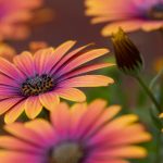 午夜导航网 p7fau