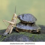 日韩亚洲高清一区二区 w0n0gp